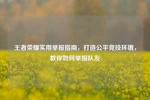 王者荣耀实用举报指南,打造公平竞技环境,教你如何举报队友