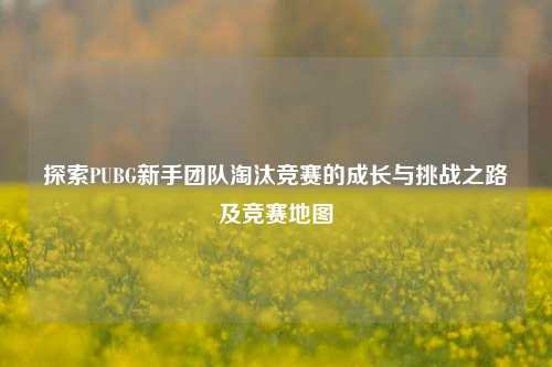 探索PUBG新手团队淘汰竞赛的成长与挑战之路及竞赛地图