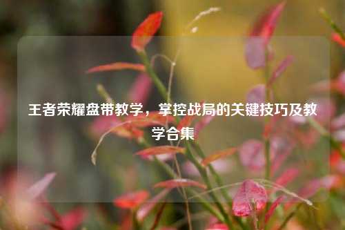 王者荣耀盘带教学，掌控战局的关键技巧及教学合集