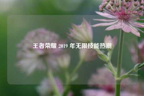 王者荣耀 2019 年无限技能热潮