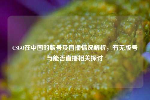 CSGO在中国的版号及直播情况解析,有无版号与能否直播相关探讨