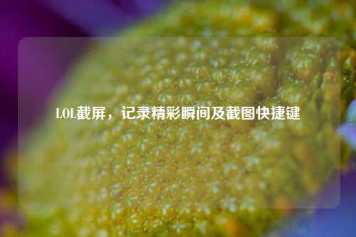 LOL截屏,记录精彩瞬间及截图快捷键