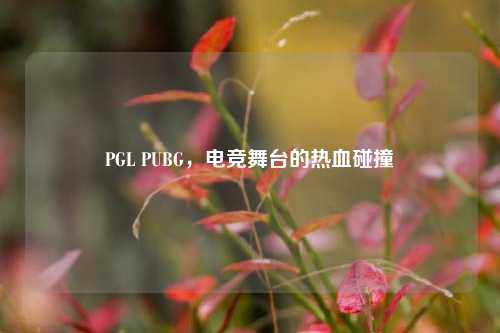 PGL PUBG，电竞舞台的热血碰撞
