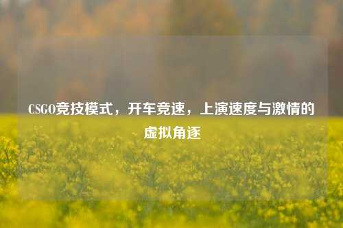 CSGO竞技模式,开车竞速,上演速度与激情的虚拟角逐