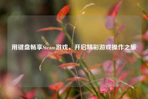 用键盘畅享Steam游戏,开启精彩游戏操作之旅
