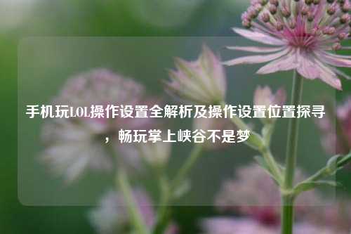 手机玩LOL操作设置全解析及操作设置位置探寻，畅玩掌上峡谷不是梦