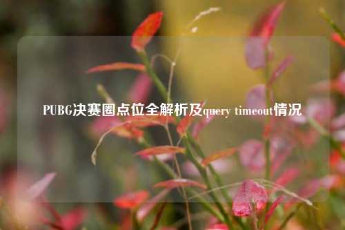 PUBG决赛圈点位全解析及query timeout情况