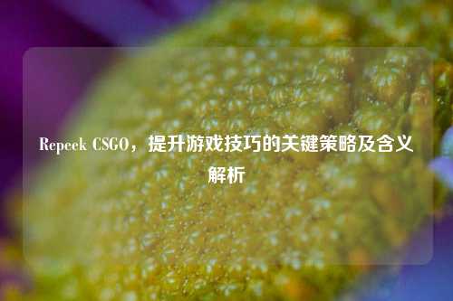 Repeek CSGO,提升游戏技巧的关键策略及含义解析