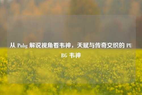从 Pubg 解说视角看韦神,天赋与传奇交织的 PUBG 韦神