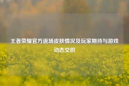 王者荣耀官方返场皮肤情况及玩家期待与游戏动态交织