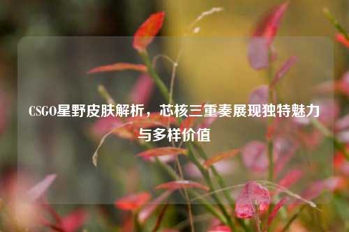 CSGO星野皮肤解析,芯核三重奏展现独特魅力与多样价值