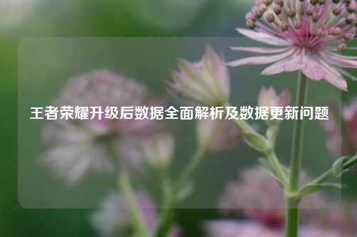 王者荣耀升级后数据全面解析及数据更新问题