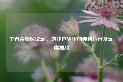 王者荣耀解说281,游戏世界里的独特声音及281集视频