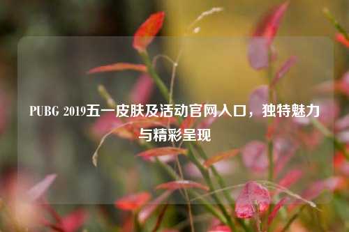 PUBG 2019五一皮肤及活动官网入口,独特魅力与精彩呈现