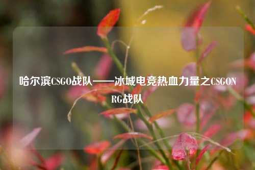 哈尔滨CSGO战队——冰城电竞热血力量之CSGONRG战队