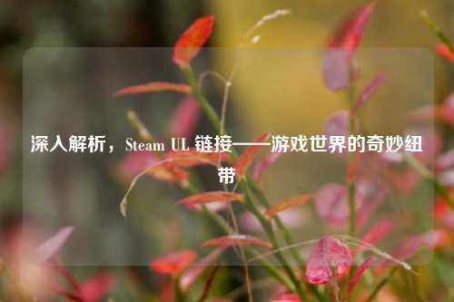 深入解析,Steam UL 链接——游戏世界的奇妙纽带