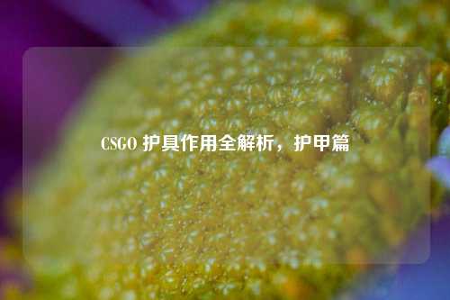 CSGO 护具作用全解析,护甲篇