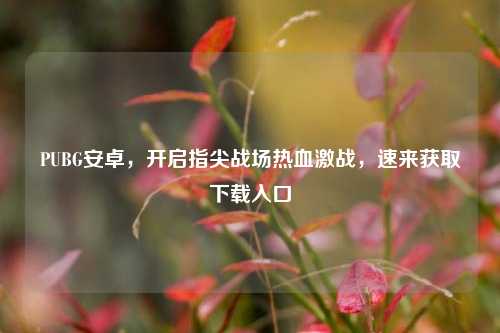 PUBG安卓,开启指尖战场热血激战,速来获取下载入口