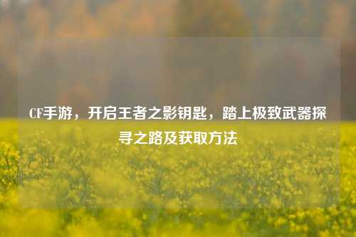 CF手游,开启王者之影钥匙,踏上极致武器探寻之路及获取方法