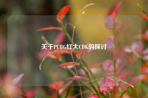 关于PUBG红大CDK的探讨