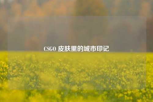 CSGO 皮肤里的城市印记