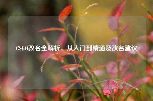 CSGO改名全解析,从入门到精通及改名建议