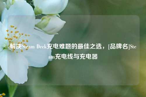 解决Steam Deck充电难题的最佳之选，[品牌名]Steam充电线与充电器