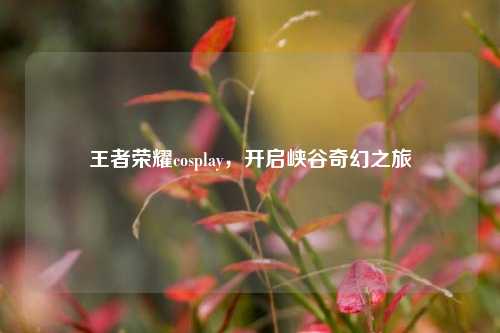 王者荣耀cosplay,开启峡谷奇幻之旅