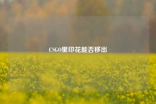 CSGO里印花能否移出