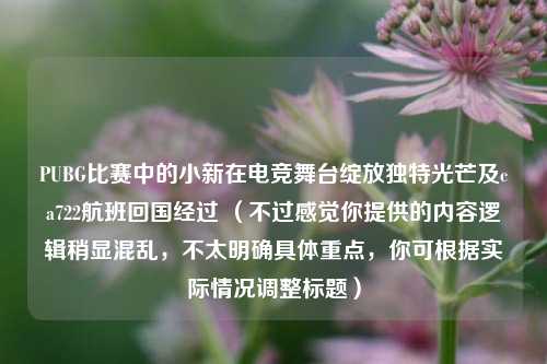 PUBG比赛中的小新在电竞舞台绽放独特光芒及ca722航班回国经过 (不过感觉你提供的内容逻辑稍显混乱,不太明确具体重点,你可根据实际情况调整标题)