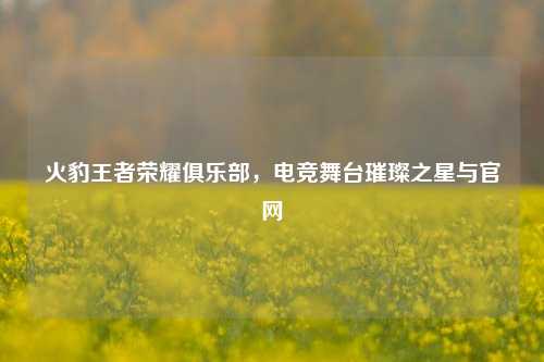火豹王者荣耀俱乐部,电竞舞台璀璨之星与官网