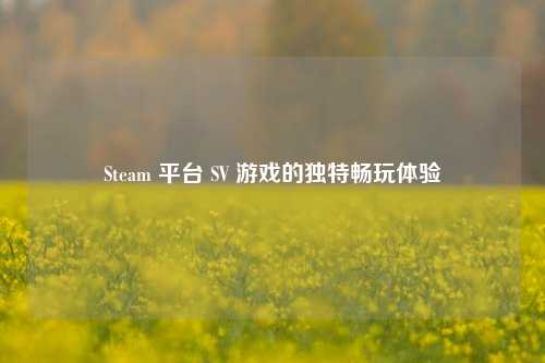 Steam 平台 SV 游戏的独特畅玩体验