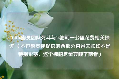 COD16幽灵团队死斗与14油耗一公里花费相关探讨 （不过感觉你提供的两部分内容关联性不是特别紧密，这个标题尽量兼顾了两者）