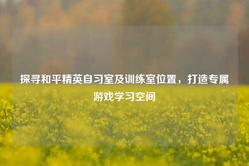 探寻和平精英自习室及训练室位置,打造专属游戏学习空间