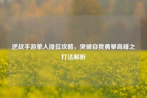 逆战手游单人排位攻略,突破自我勇攀高峰之打法解析