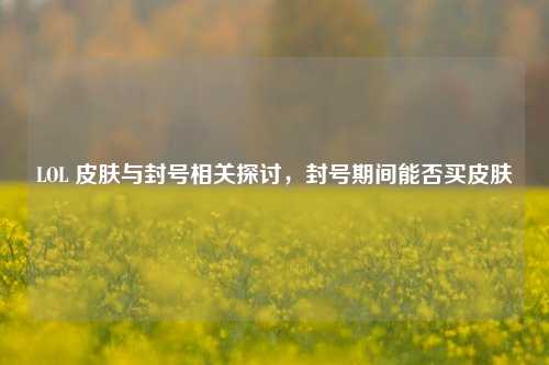 LOL 皮肤与封号相关探讨,封号期间能否买皮肤