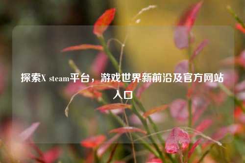 探索X steam平台,游戏世界新前沿及官方网站入口