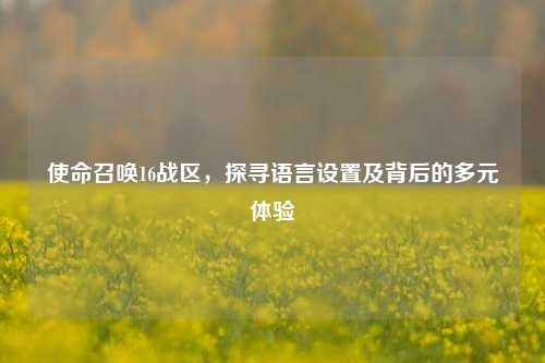 使命召唤16战区,探寻语言设置及背后的多元体验