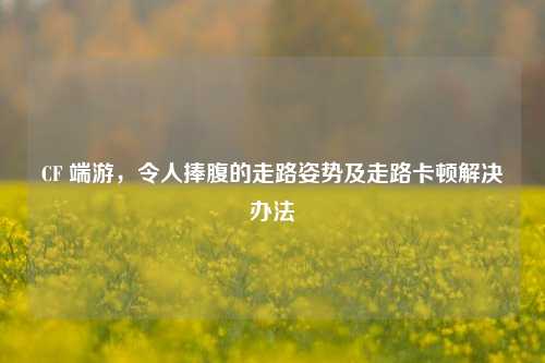 CF 端游,令人捧腹的走路姿势及走路卡顿解决办法