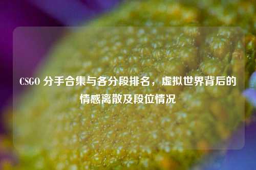 CSGO 分手合集与各分段排名,虚拟世界背后的情感离散及段位情况
