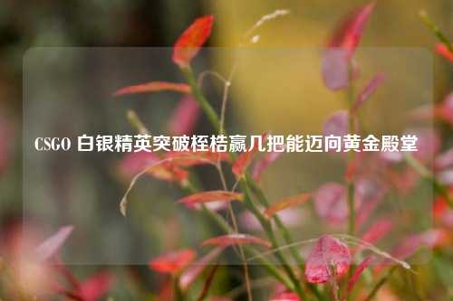 CSGO 白银精英突破桎梏赢几把能迈向黄金殿堂
