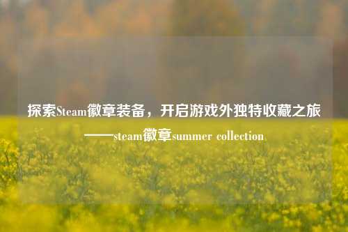 探索Steam徽章装备,开启游戏外独特收藏之旅——steam徽章summer collection