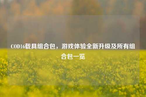 COD16载具组合包，游戏体验全新升级及所有组合包一览