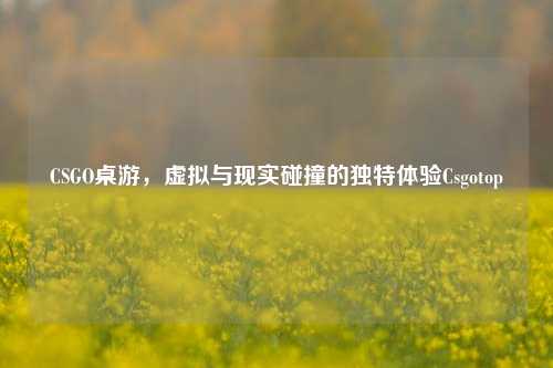 CSGO桌游，虚拟与现实碰撞的独特体验Csgotop