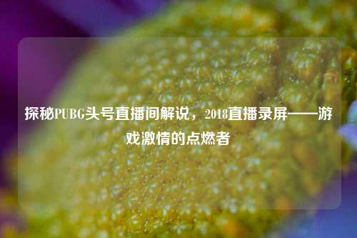 探秘PUBG头号直播间解说,2018直播录屏——游戏激情的点燃者