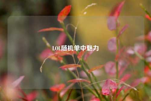 LOL随机单中魅力