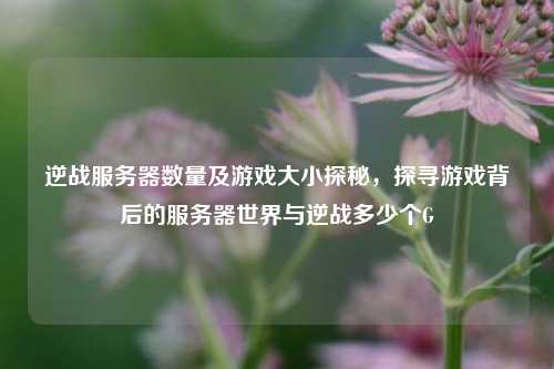逆战服务器数量及游戏大小探秘,探寻游戏背后的服务器世界与逆战多少个G