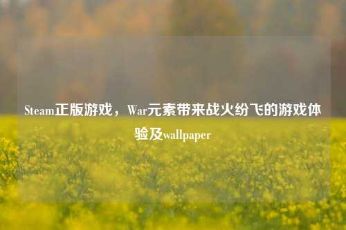 Steam正版游戏，War元素带来战火纷飞的游戏体验及wallpaper