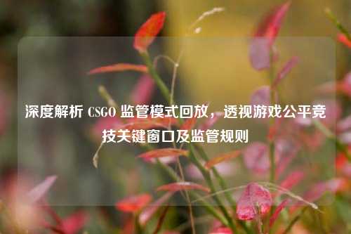 深度解析 CSGO 监管模式回放,透视游戏公平竞技关键窗口及监管规则