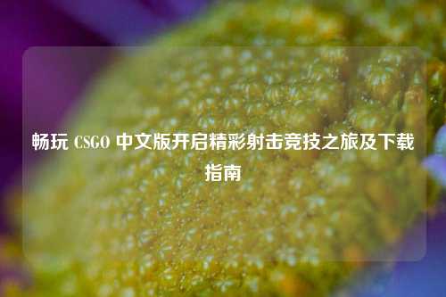 畅玩 CSGO 中文版开启精彩射击竞技之旅及下载指南